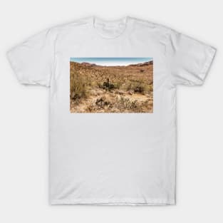 Apache Trail Scenic Drive View T-Shirt